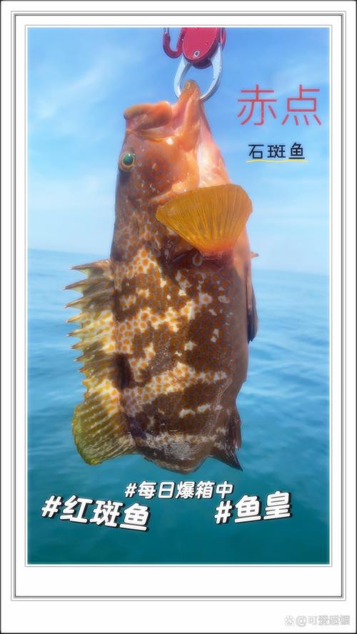 胖头鱼身上有红斑能吃吗缩略图