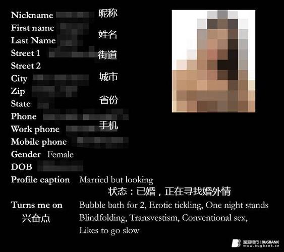 privacy泄露数据查询游戏截图