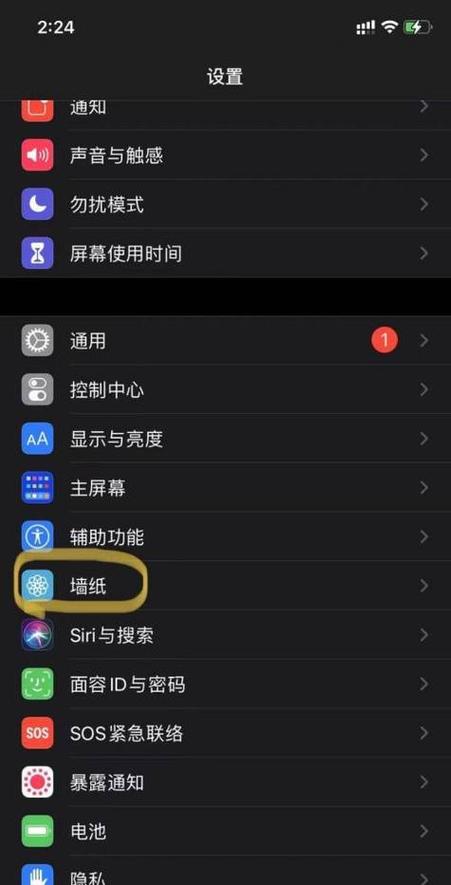 苹果13为啥墙纸删不了图标