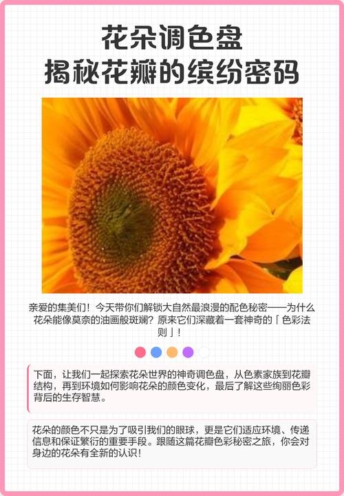 花瓣颜色是什么原因是什么缩略图