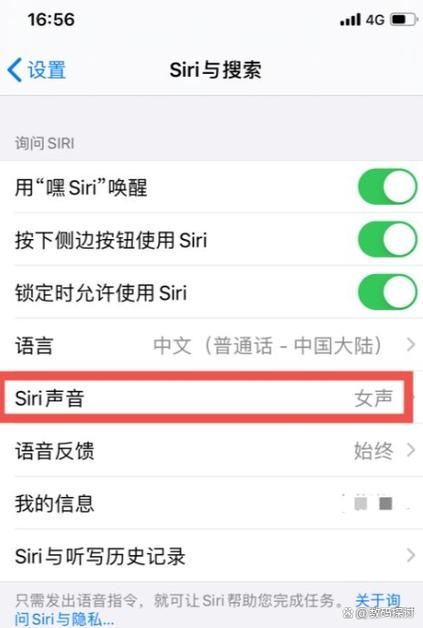 苹果手机发语音声音小解决方法缩略图