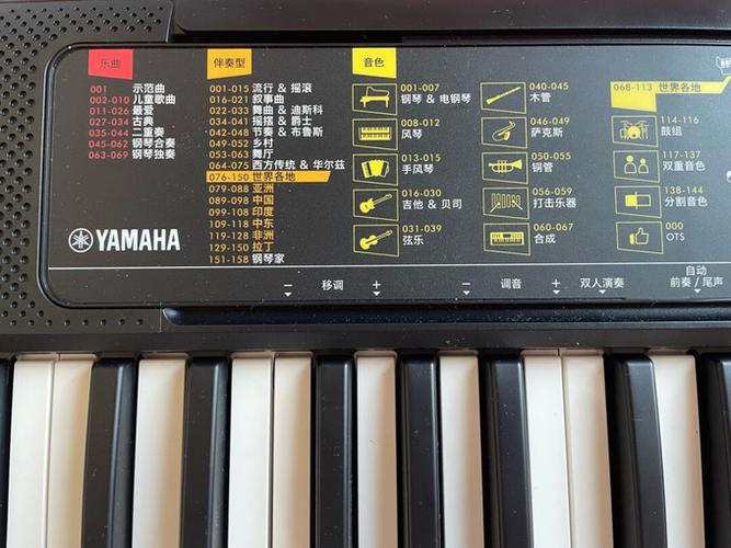 电子琴好学吗游戏截图