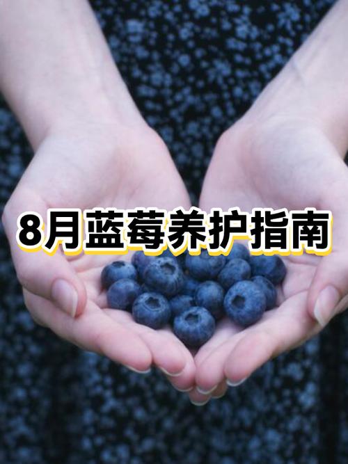 肺结节吃蓝莓好吗游戏截图