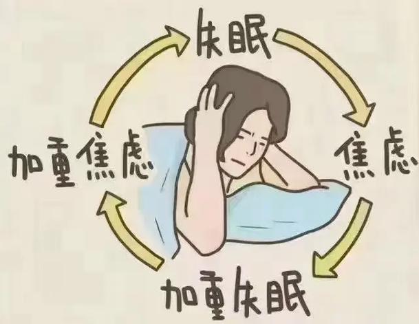 休眠和睡眠的区别缩略图