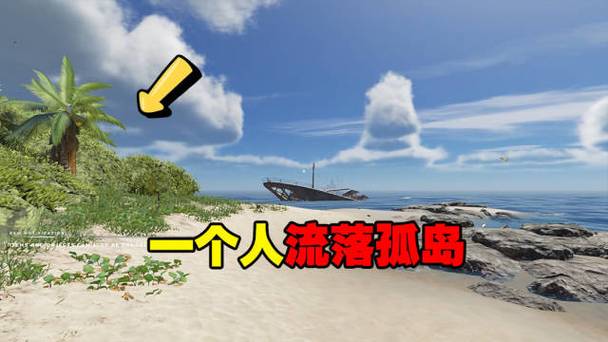 荒岛求生,飞机坠落来到了一个荒岛播缩略图