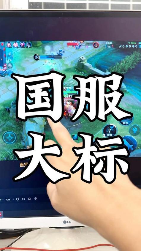 王者荣耀国服标志图标游戏截图