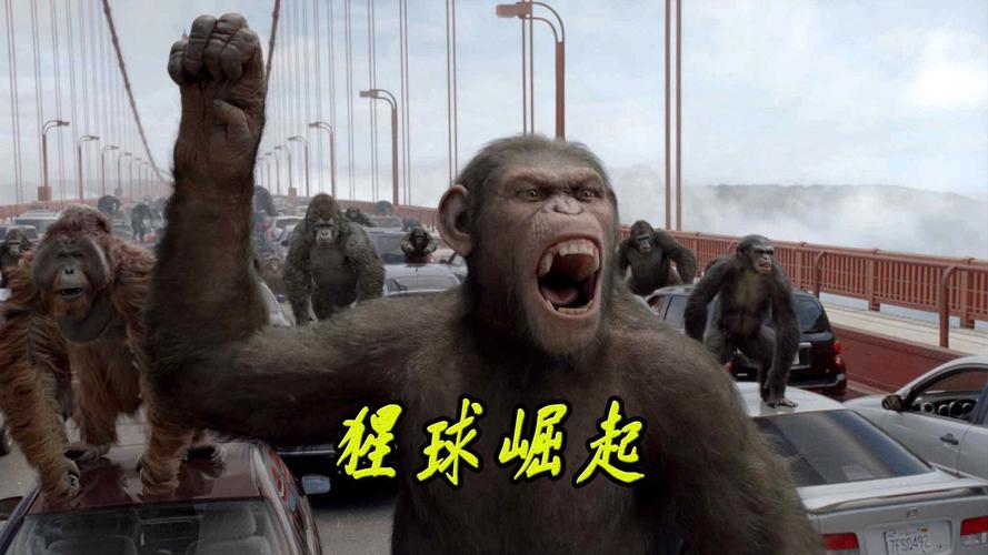 猩球崛起1在线播放缩略图