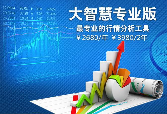 大智慧专业版官方网站缩略图
