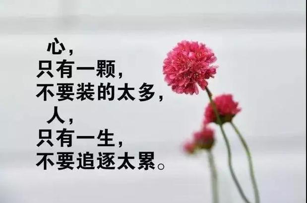句句深入人心经典句子缩略图