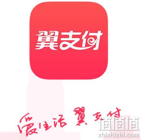 翼支付权益金是啥意思图标
