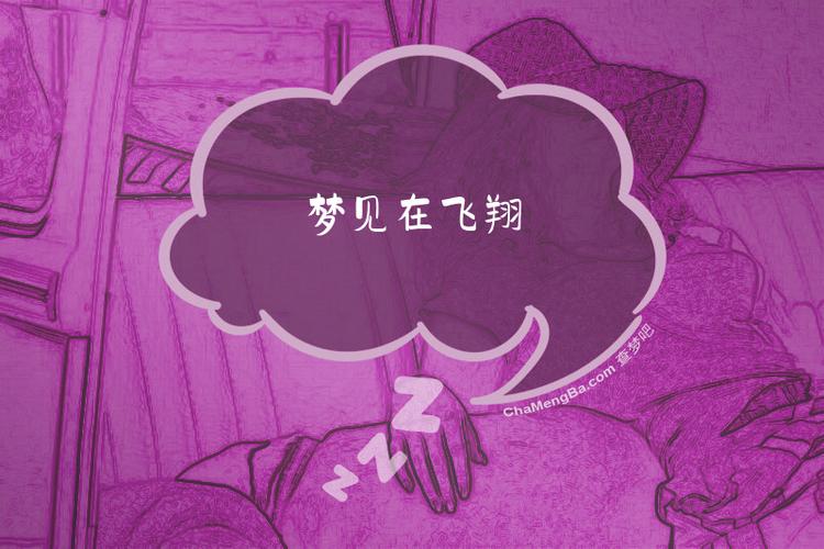 3d飞行模拟器游戏图标