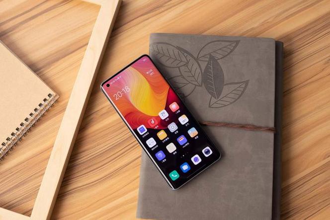 vivos50是什么屏幕游戏截图
