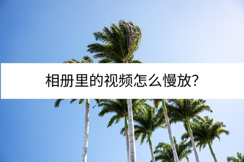 相册怎么放慢视频游戏截图
