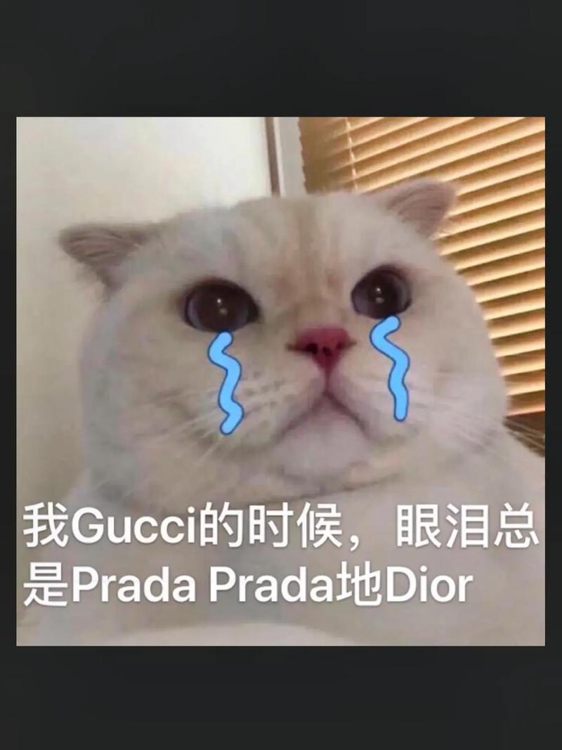 gucci的时候眼泪prada表情包意思缩略图