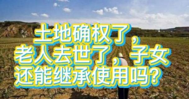 老人死后土地归谁继承缩略图
