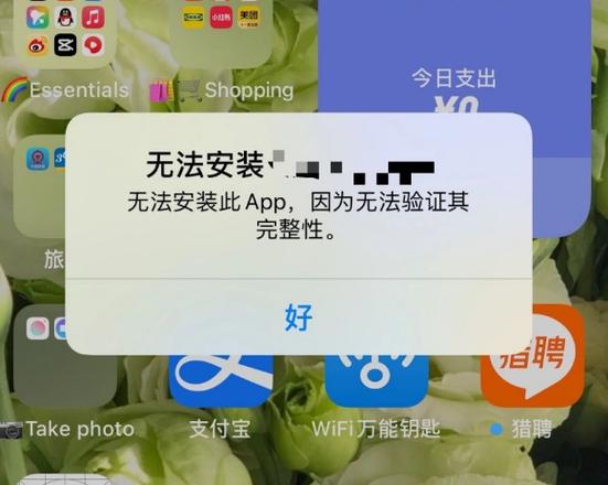 ipad禁止安装app缩略图