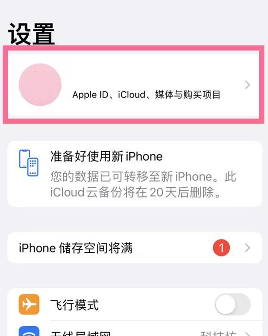 苹果怎么关闭爱奇艺自动续费图标