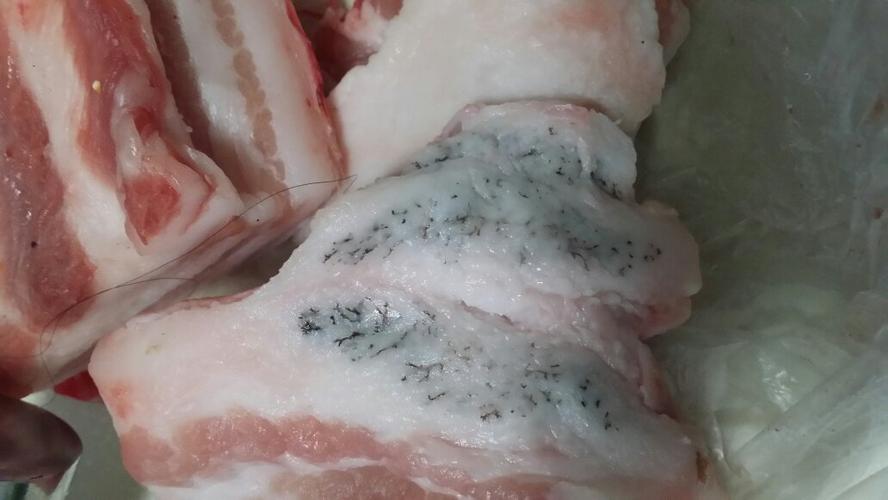 带皮猪肉有猪奶头缩略图