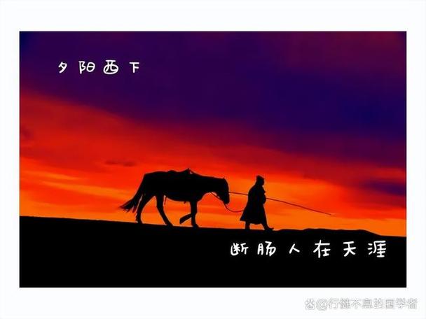 一曲终须尽欢断肠人在天涯
