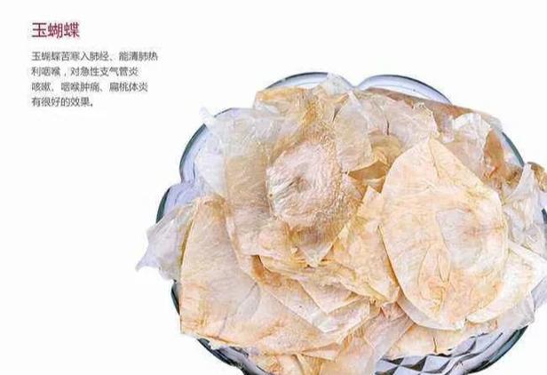 玉蝴蝶是什么植物缩略图