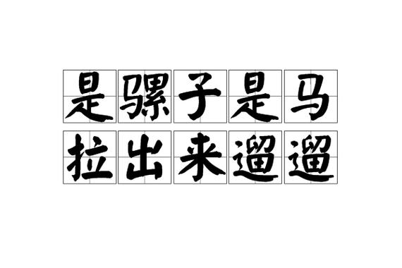 马拉是什么意思缩略图