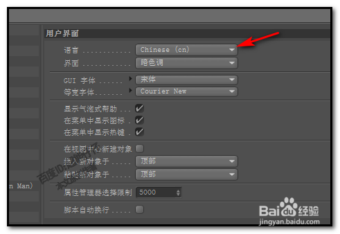 c4d中文设置游戏截图