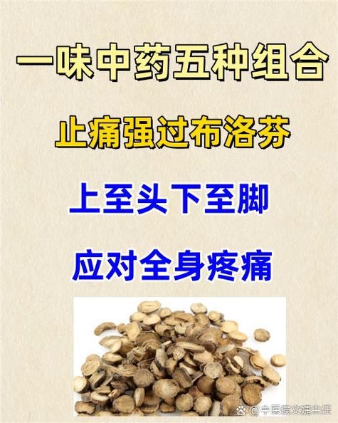 赤芍最佳搭配游戏截图