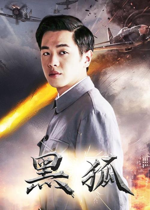 黑狐 电视剧 在线观看缩略图