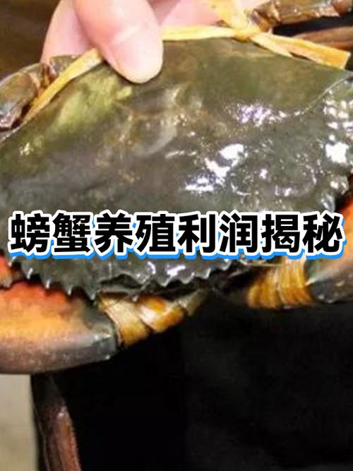 养殖30亩螃蟹的利润缩略图
