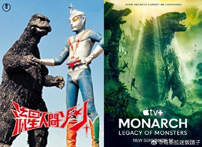 流星电视授权码是多少图标