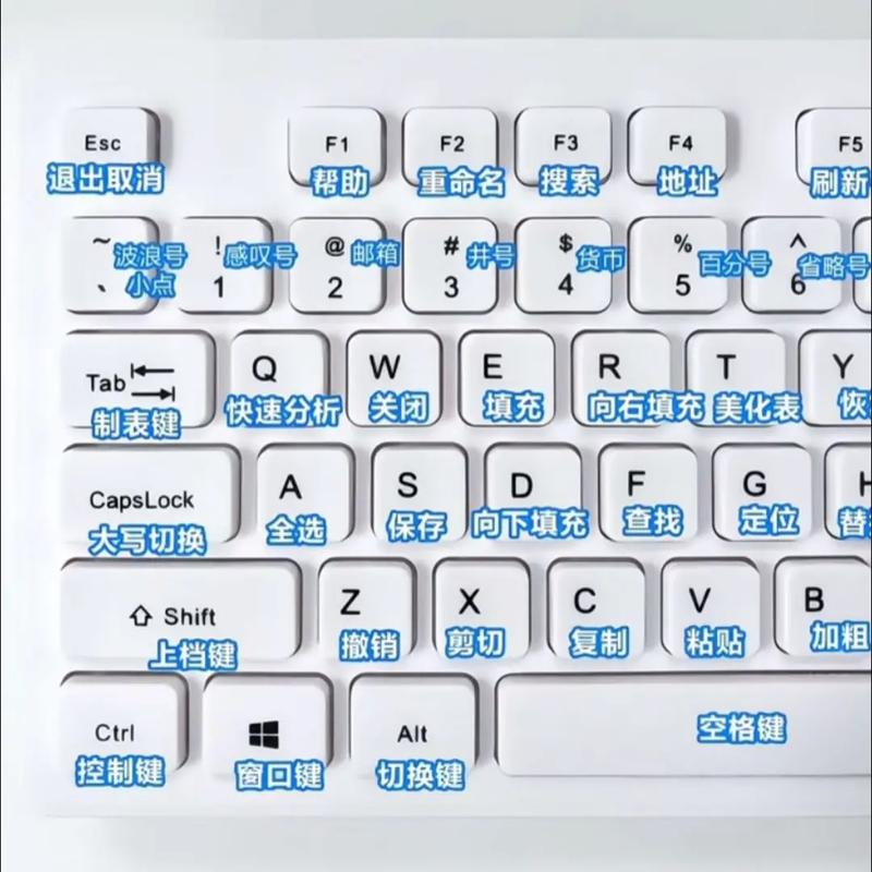 笔记本键盘打不出字按哪个键缩略图