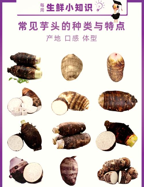 芋头是什么东西缩略图