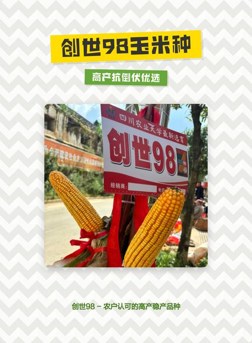 创世优选怎么样游戏截图