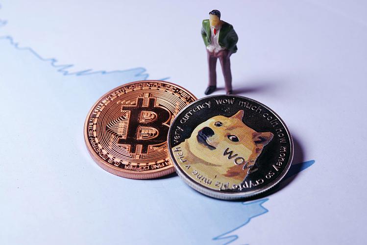 狗币和比特币区别图标