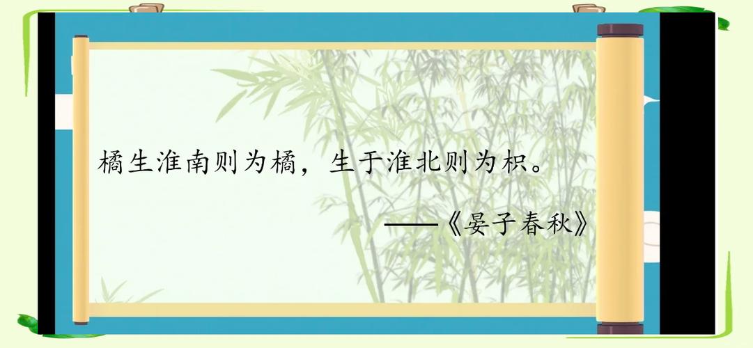 朋友圈发橘子的文案缩略图