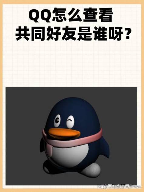 qq怎么让别人看不到共同好友游戏截图