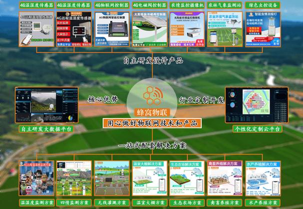 蜂窝物联网是什么意思啊游戏截图
