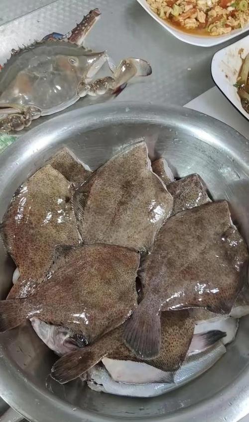 小嘴鱼和偏口鱼的区别游戏截图