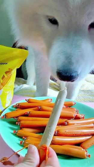 狗狗能吃火腿肠吗?缩略图
