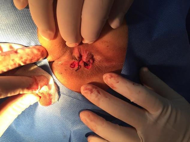 电脑wps没有保存的文档怎么恢复缩略图