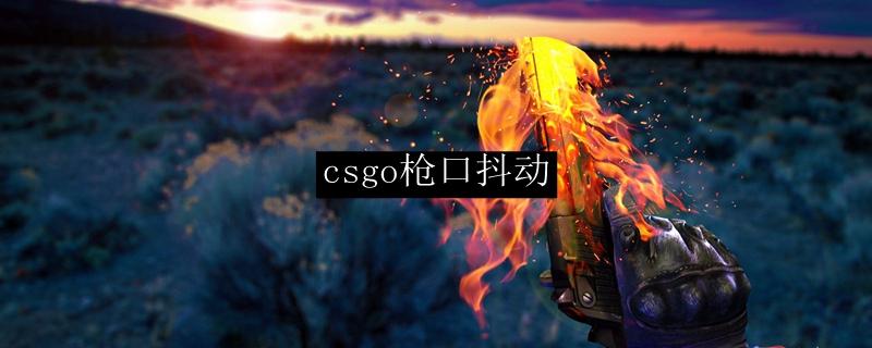 csgo枪口抖动游戏截图