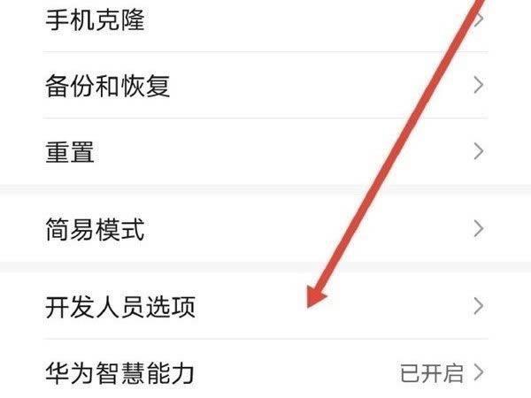荣耀手机怎么退出开发者选项图标