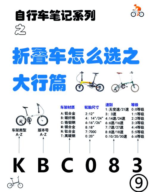 老年自行车十大名牌缩略图