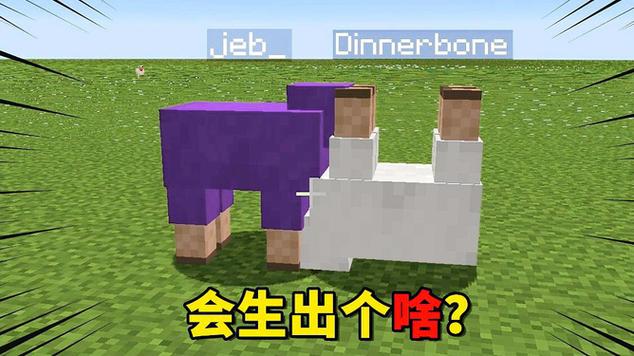 我的世界让生物倒立的命名缩略图
