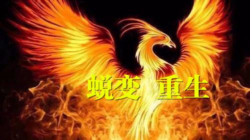 华为相册突然不见了游戏截图