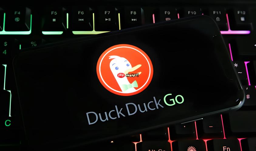 duckduckgo语言改为中文缩略图