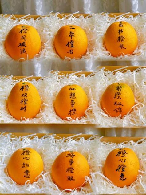 橙色的四字成语缩略图
