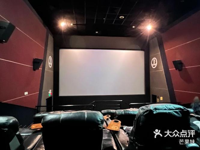 vip影视app软件下载游戏截图
