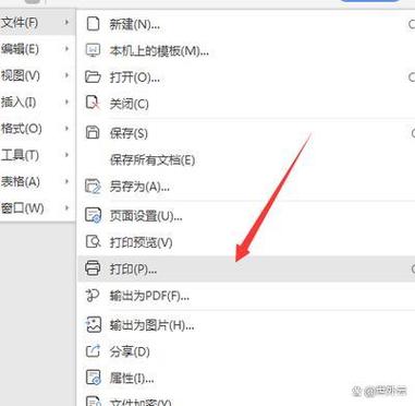 WPS网页版登录入口网址图标