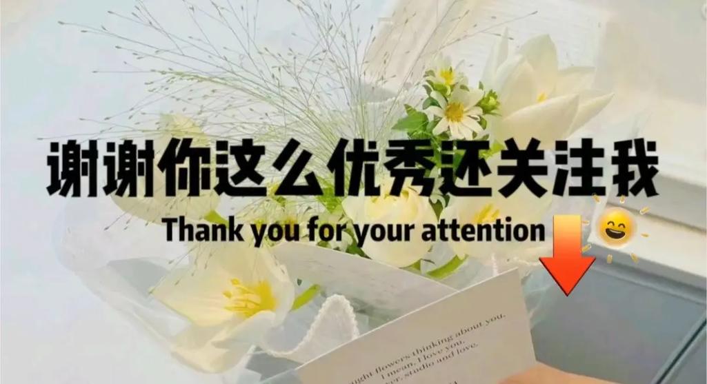 关注是什么意思粉丝是什么意思缩略图